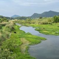 长风破浪